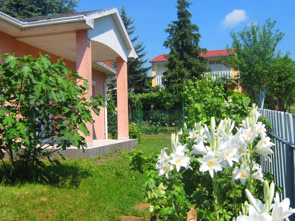 Feszek Apartmanhaz 沃尼奥尔茨沃什海吉 外观 照片